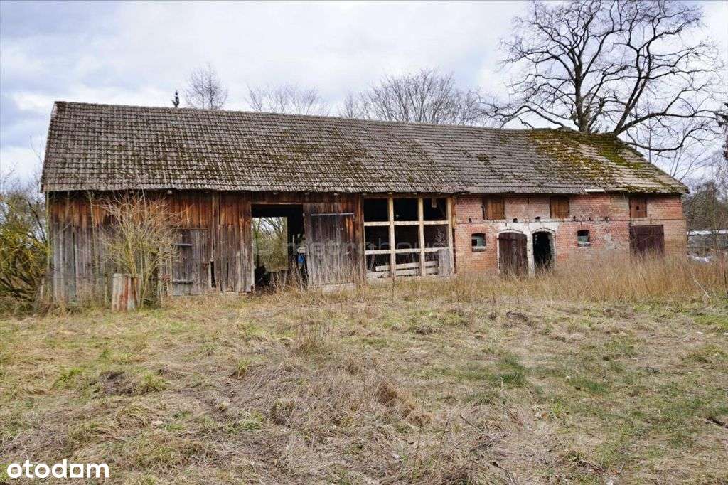Dom + działka rolna - Jelonek - Pełny obrazek: 4/12