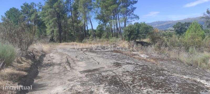 Terreno / Fundão, Monte Leal - Grande imagem: 5/9