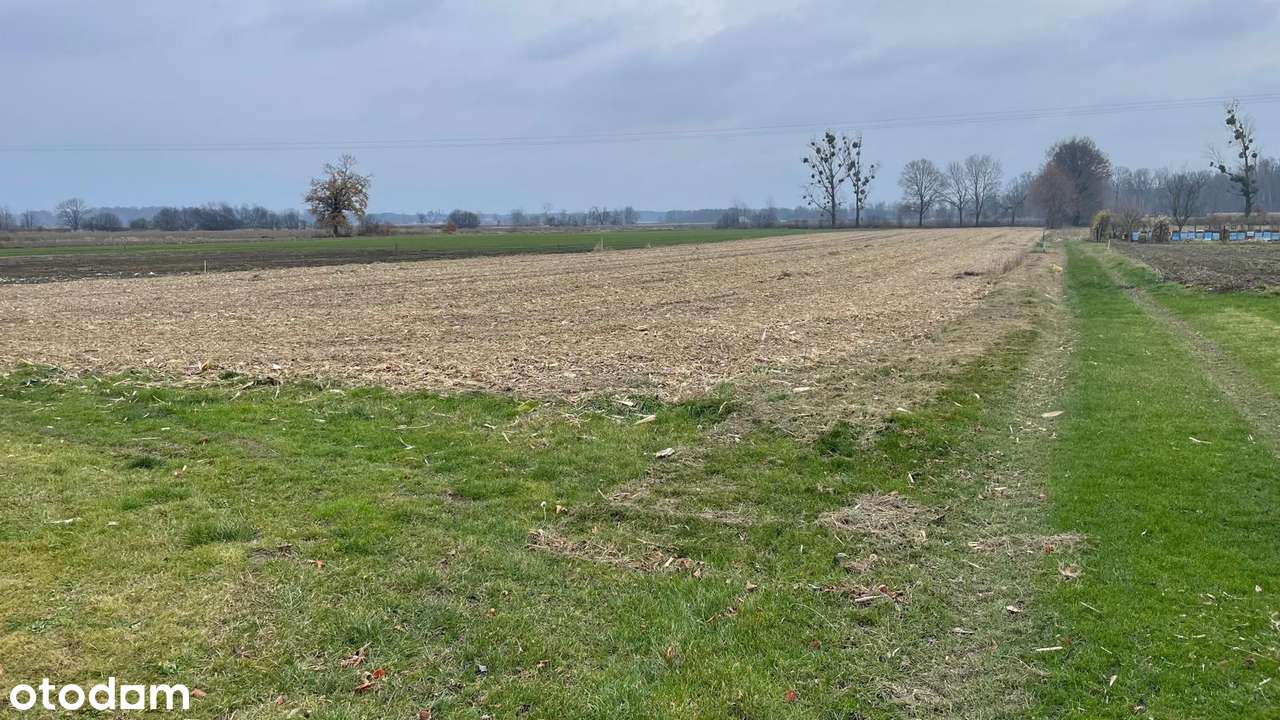 Działka budowlana-Mizerów, 1153m2-1