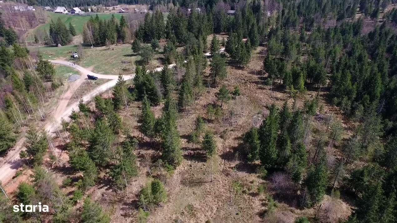 Teren intravilan 3,584mp Calatele Padure-8