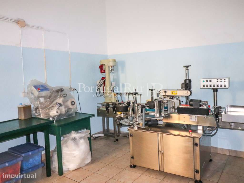 Unidade Industrial de Produção de Azeite & Elevado Potencial Produtivo-22