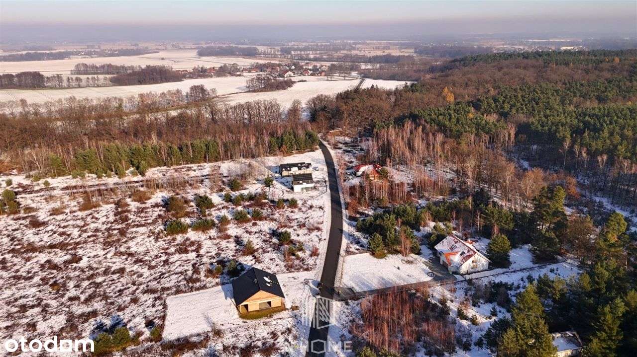 Działka z Wz | pod lasem | 10 km od Wrocławia - Pełny obrazek: 5/8