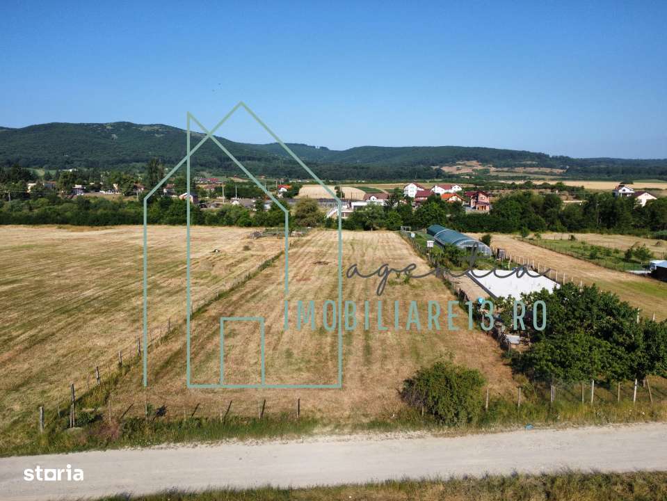 Teren de vanzare sau inchiriere, 4.500 mp Petresti, zona zavoi - Imagine principală: 2/2