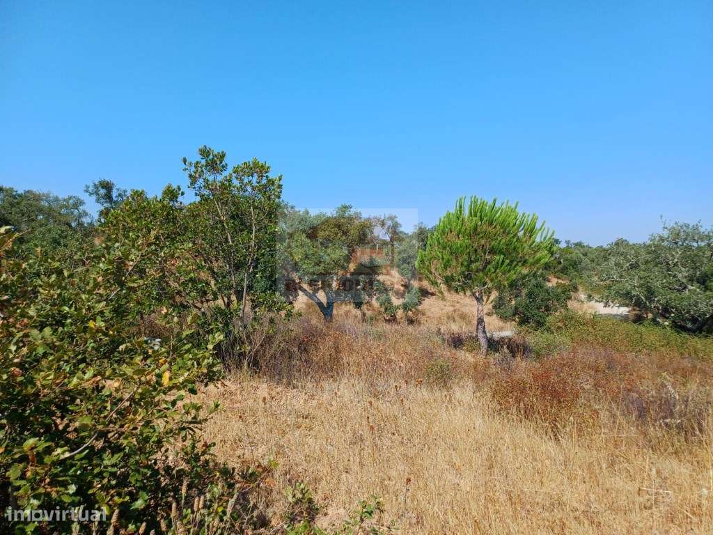 Monte Alentejano com várias ruínas para recuperar - 20 minutos Lago...-13