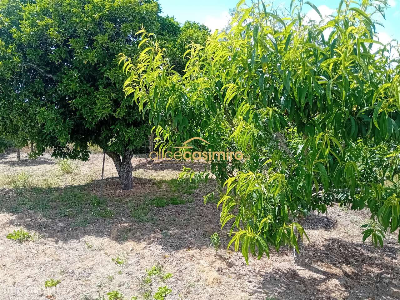 Moradia T3 Venda em Biscainho,Coruche-28