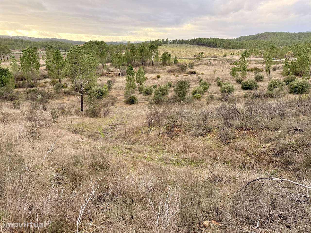 Quinta T0 Venda em Sarzedas,Castelo Branco-20