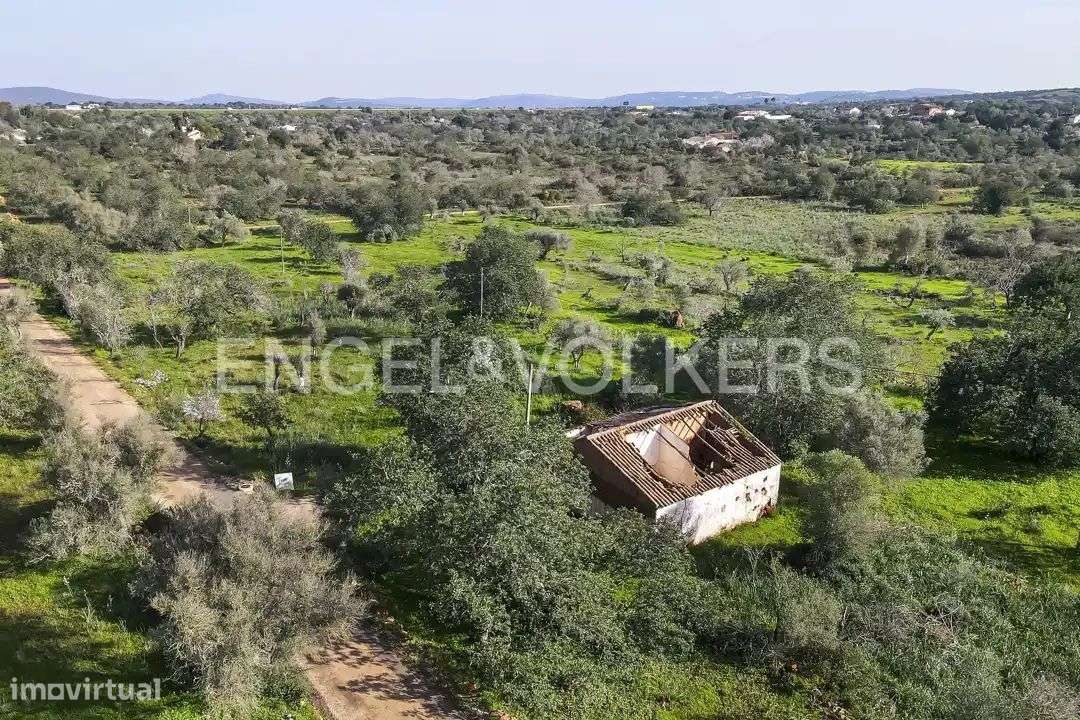 Terreno com ruína para reabilitar e/ou ampliar - Grande imagem: 2/10