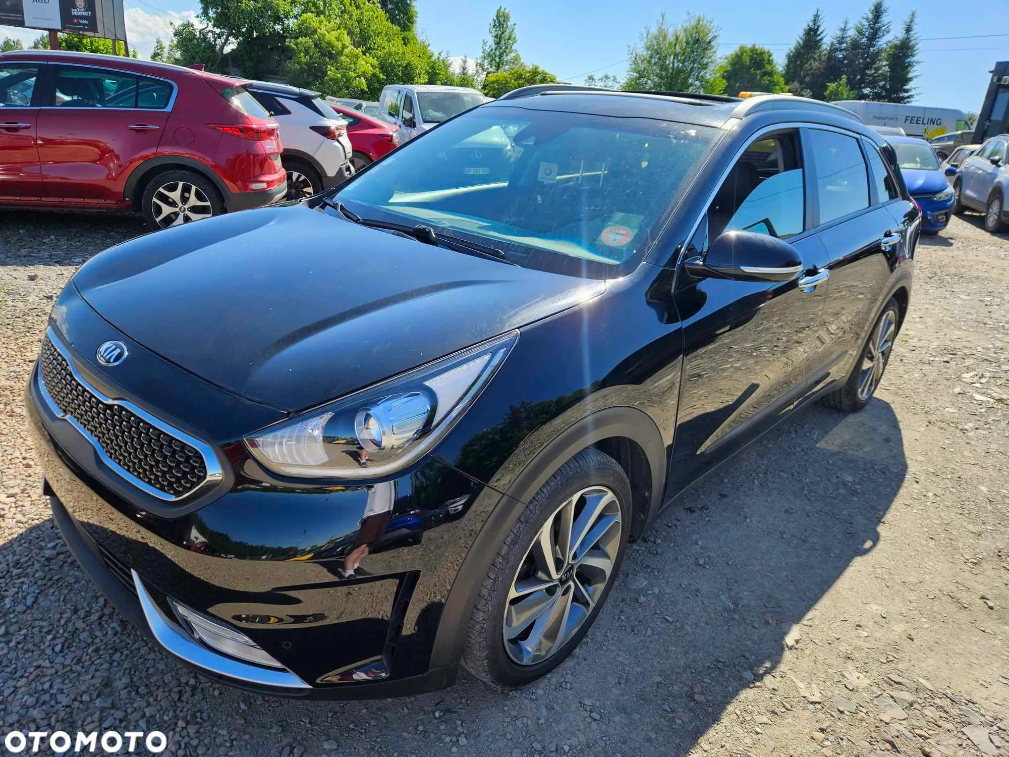 Kia Niro 1.6 GDI HEV 2WD OPF Vision - 3