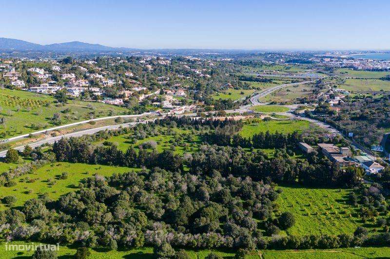 Quinta em Lagos, Praia da Luz,  46.000 m2, 2 casas e 2 Armazéns-22