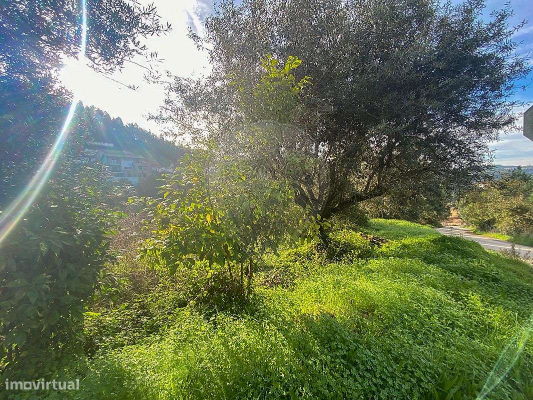 Terreno  para venda - Grande imagem: 3/15