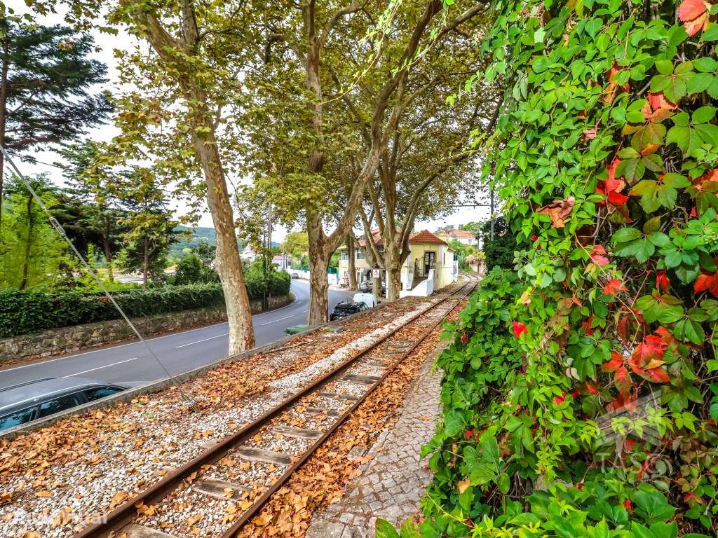 Moradia para reconstrução em Colares-7