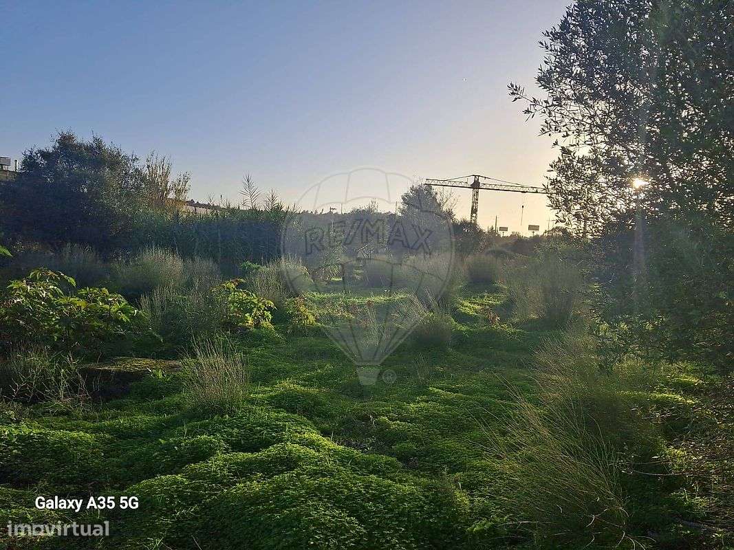 Terreno  para venda - Grande imagem: 5/12