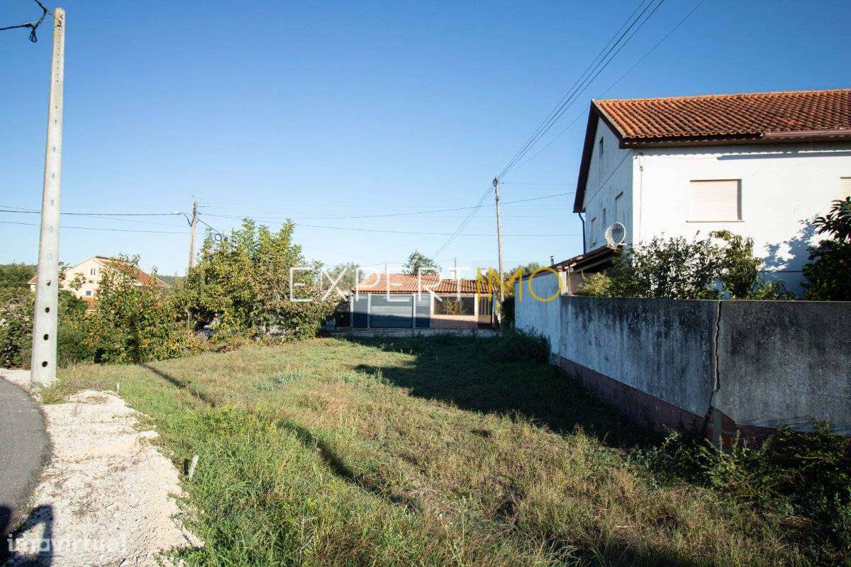 Terreno São João da Ribeira Almagreira-2