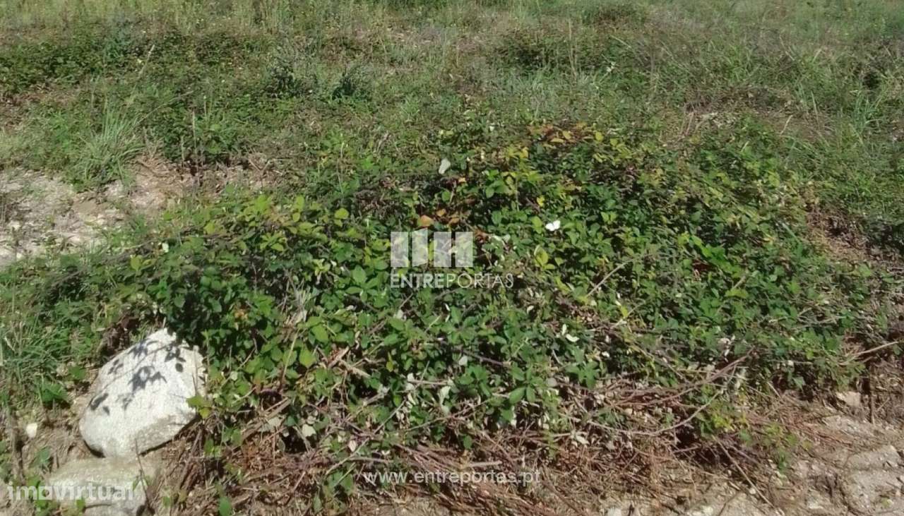 Venda de Lote de terreno com 434 m², Serreleis, Viana do Castelo. - Grande imagem: 5/30