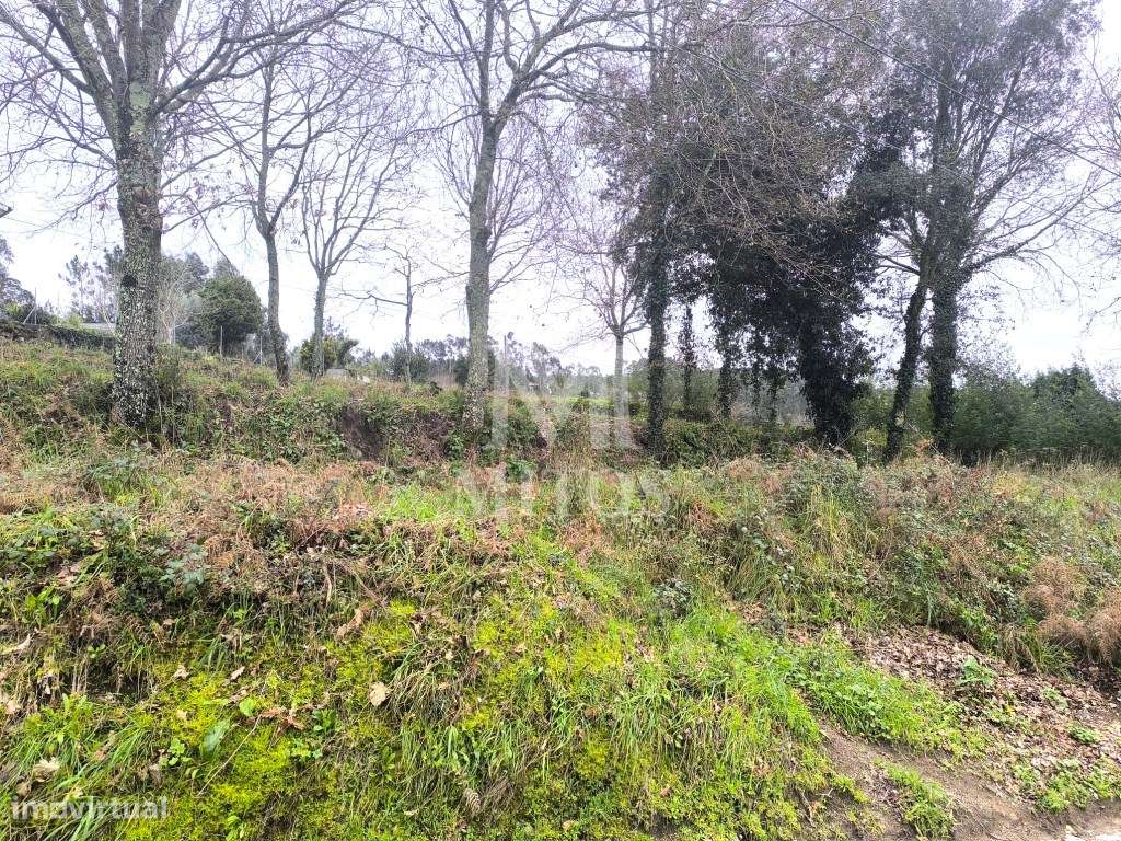 Terreno Urbano no centro de Tregosa - Grande imagem: 5/12