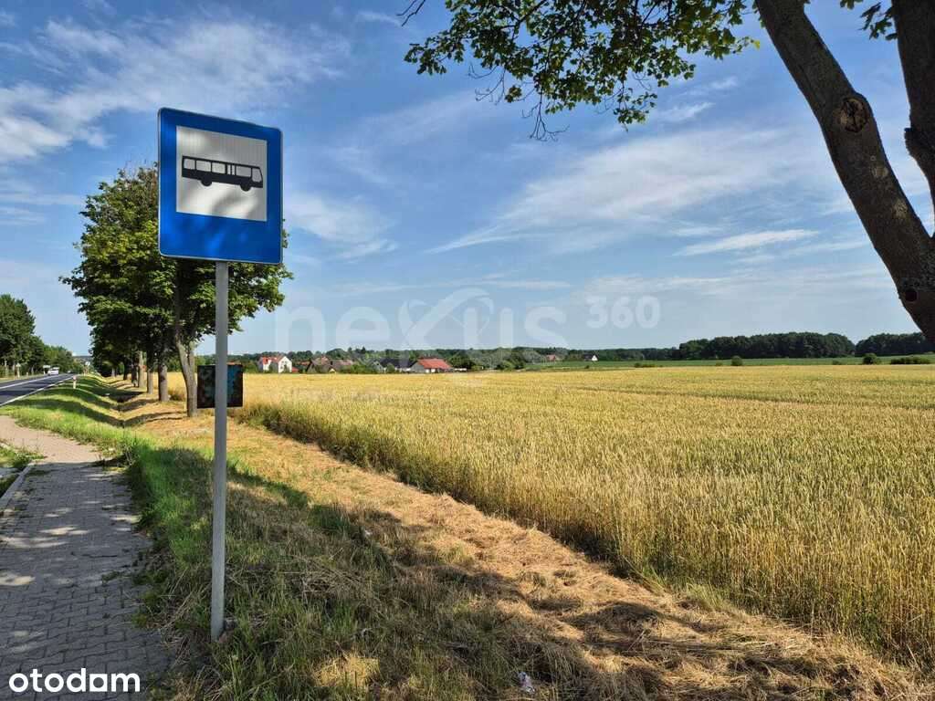 Działki budowlane przy granicy Środa Śl./Proszków - Pełny obrazek: 4/9