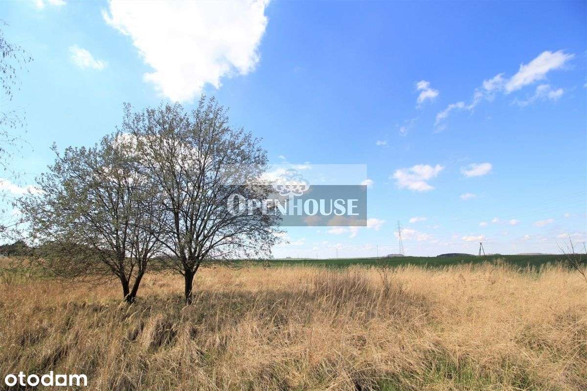 Działka 2842 m2 w Smardzowie - Pełny obrazek: 4/5