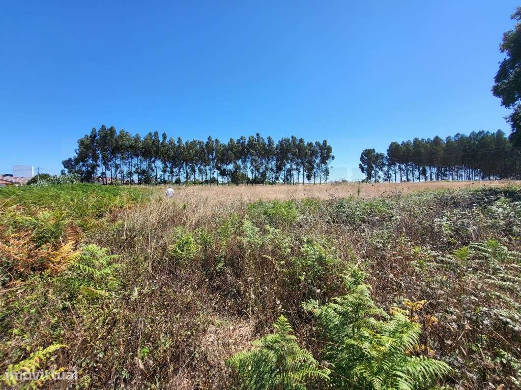 Terreno para moradias a 5 minutos do Glicínias - Grande imagem: 1/5