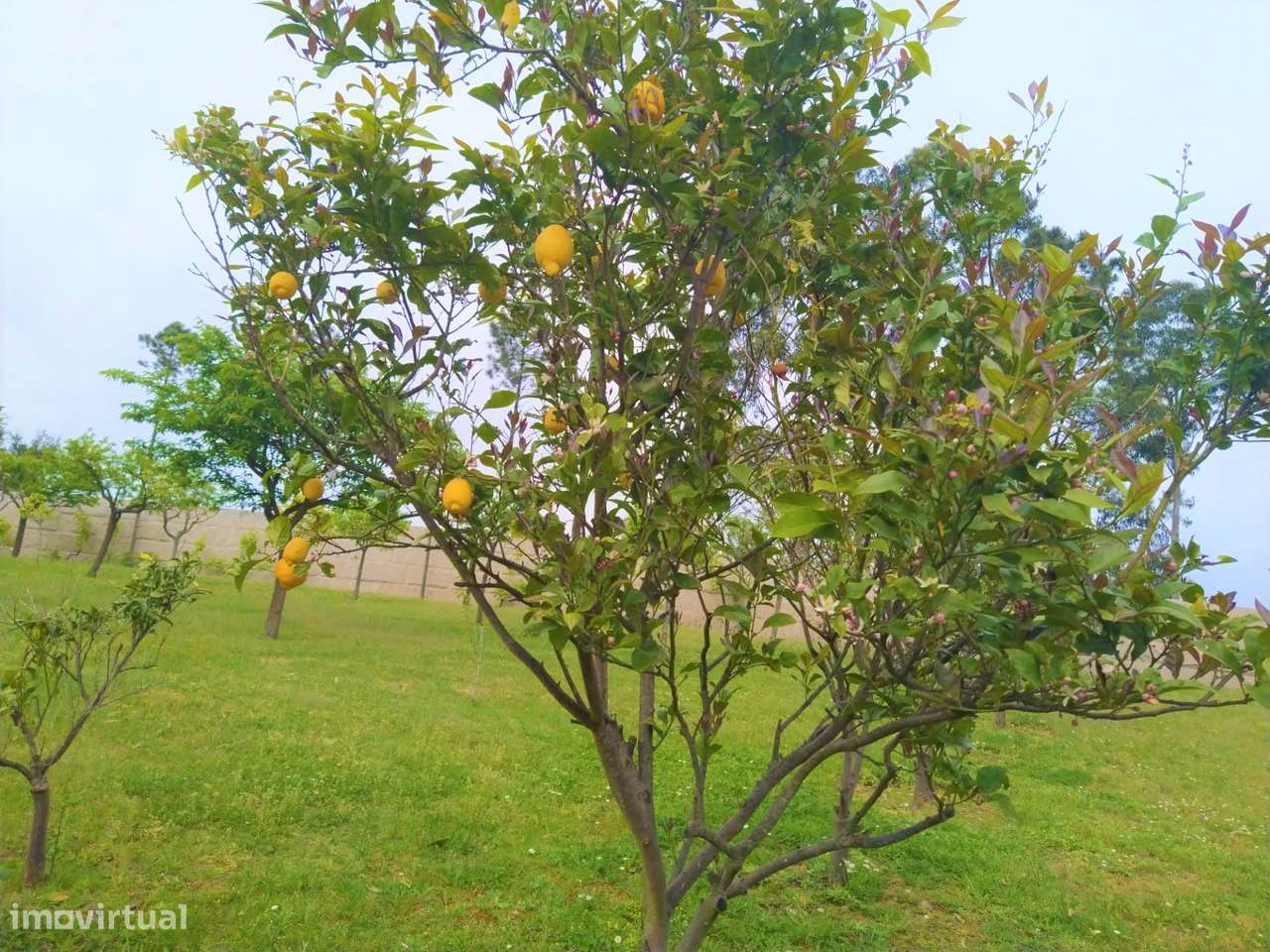 Esplendorosa Moradia T6 LUXO - Valongo-30