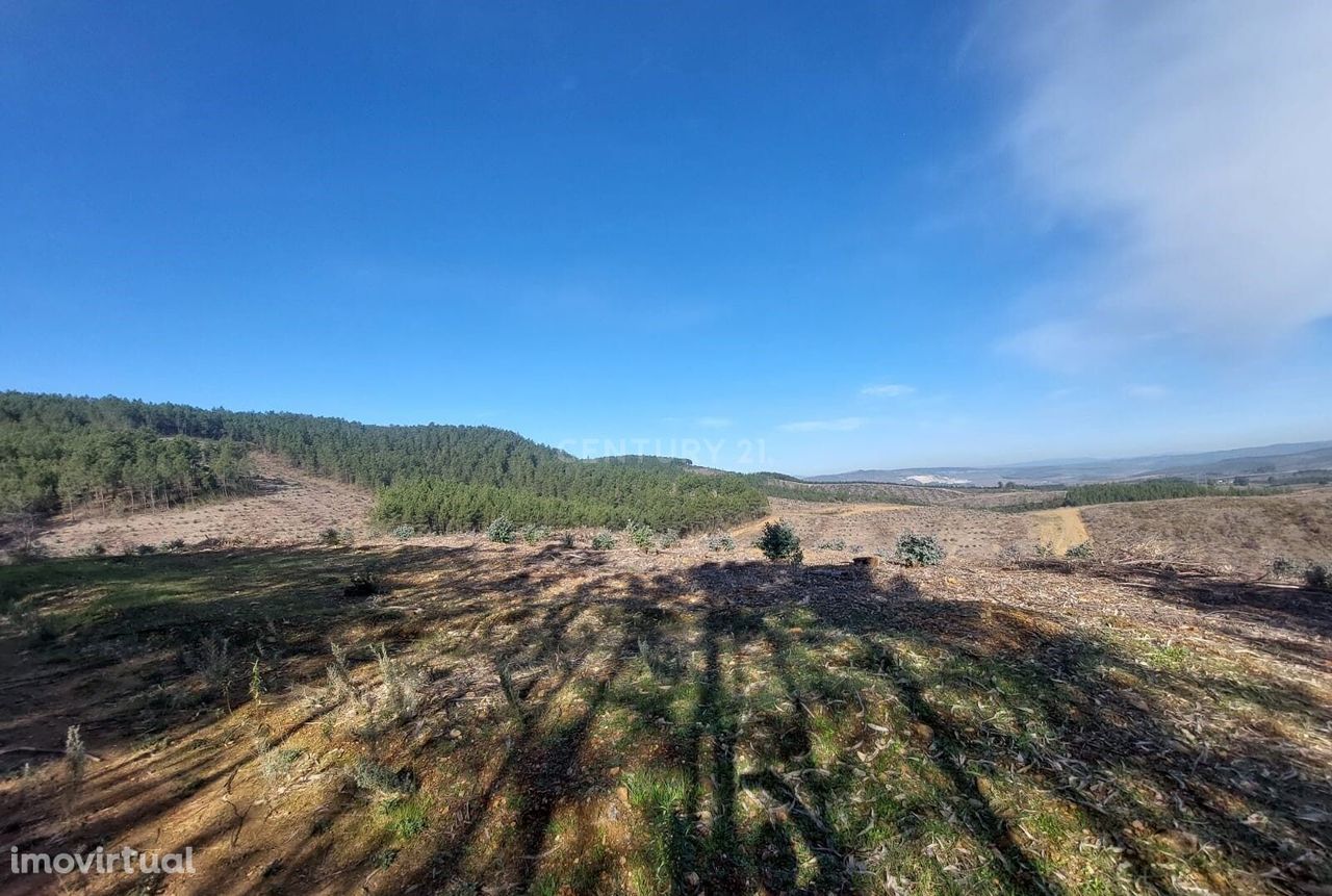 Terreno em Vale da Urra, Capinha