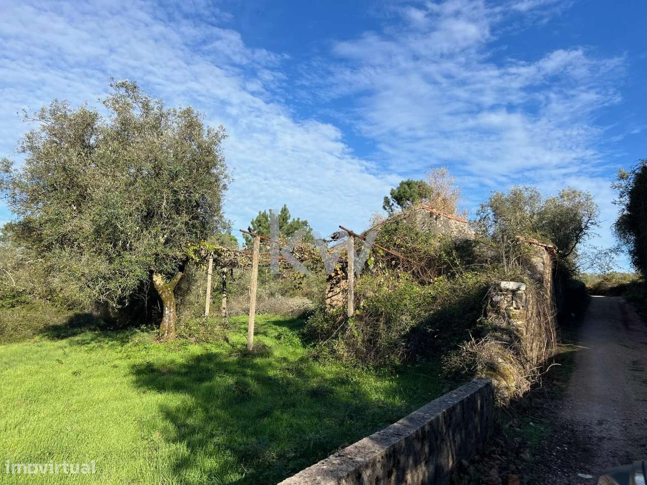 VENDA - Terreno misto com 1,6 ha na bela Vila do Espinhal – Penela – C - Grande imagem: 5/18