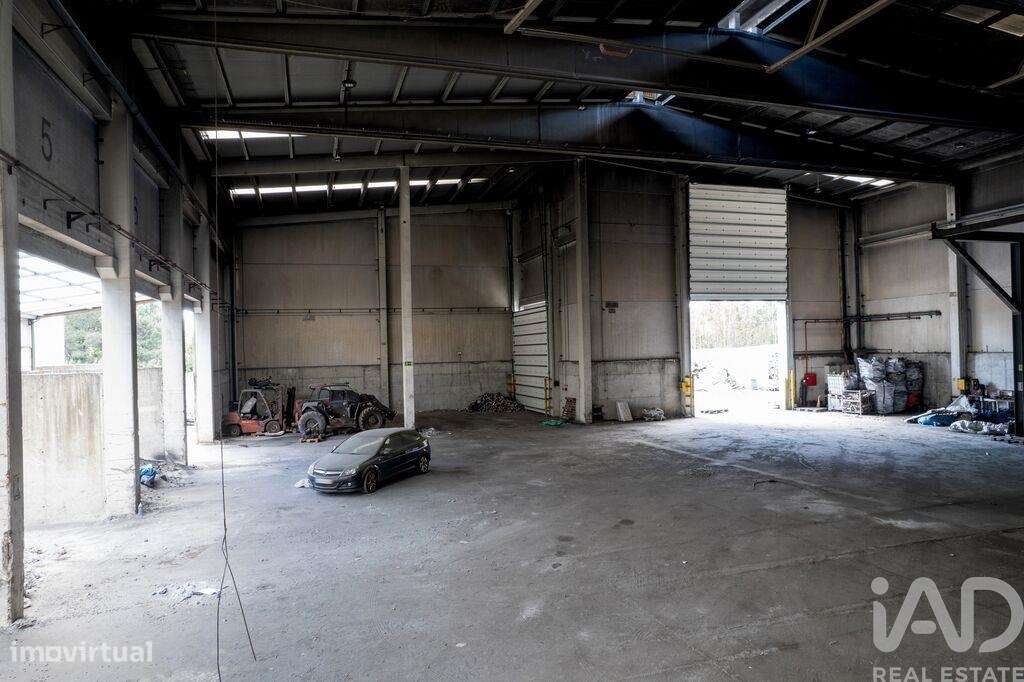 Armazém em Nogueira do Cravo e Pindelo de 2268,00 m2 - Grande imagem: 5/22