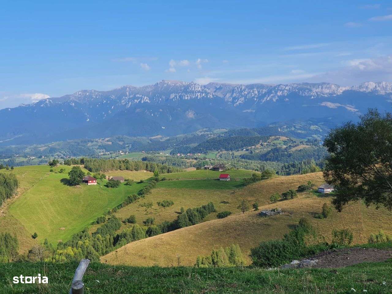 Terenuri in Sirnea, intravilan - Imagine principală: 5/6