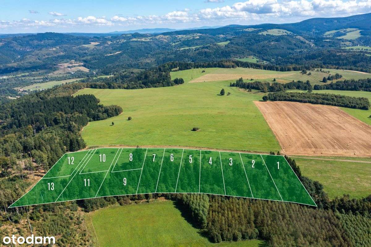 Działka widokowa z własnym lasem-2