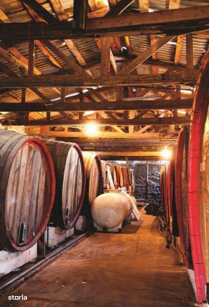 Ferma viticola de vanzare in inima podgoriei Odobesti - Imagine principală: 2/13