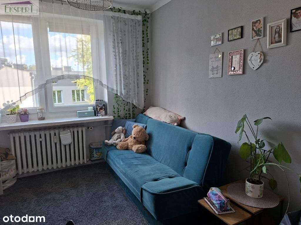 Stary Sosnowiec widokowe 2 pokoje w niskim bloku! - Pełny obrazek: 4/11