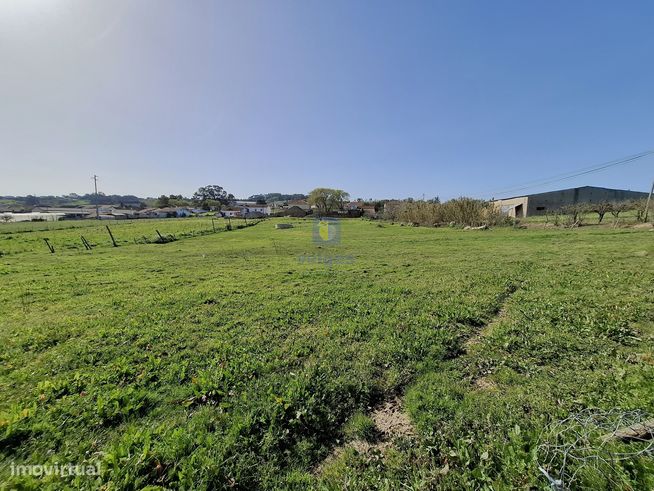 Terreno urbano com 15.867 m2 em Cela, Alcobaça,  e ruína de 336,30 m2-6