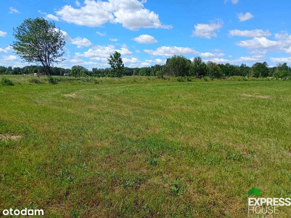 Wśród łąk i lasów. - Pełny obrazek: 5/6