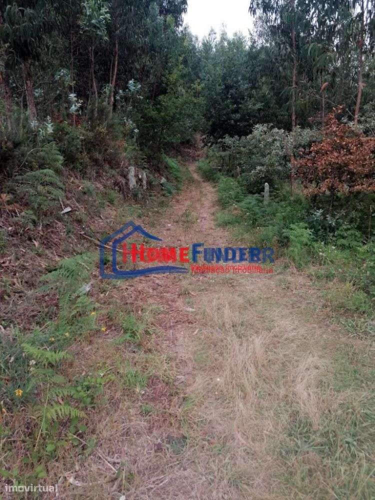 Terreno com aprox. 1.240 m2 - Monção - Grande imagem: 4/26