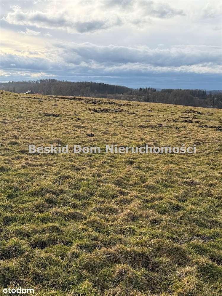 Działka na sprzedaż, Jasienica-6