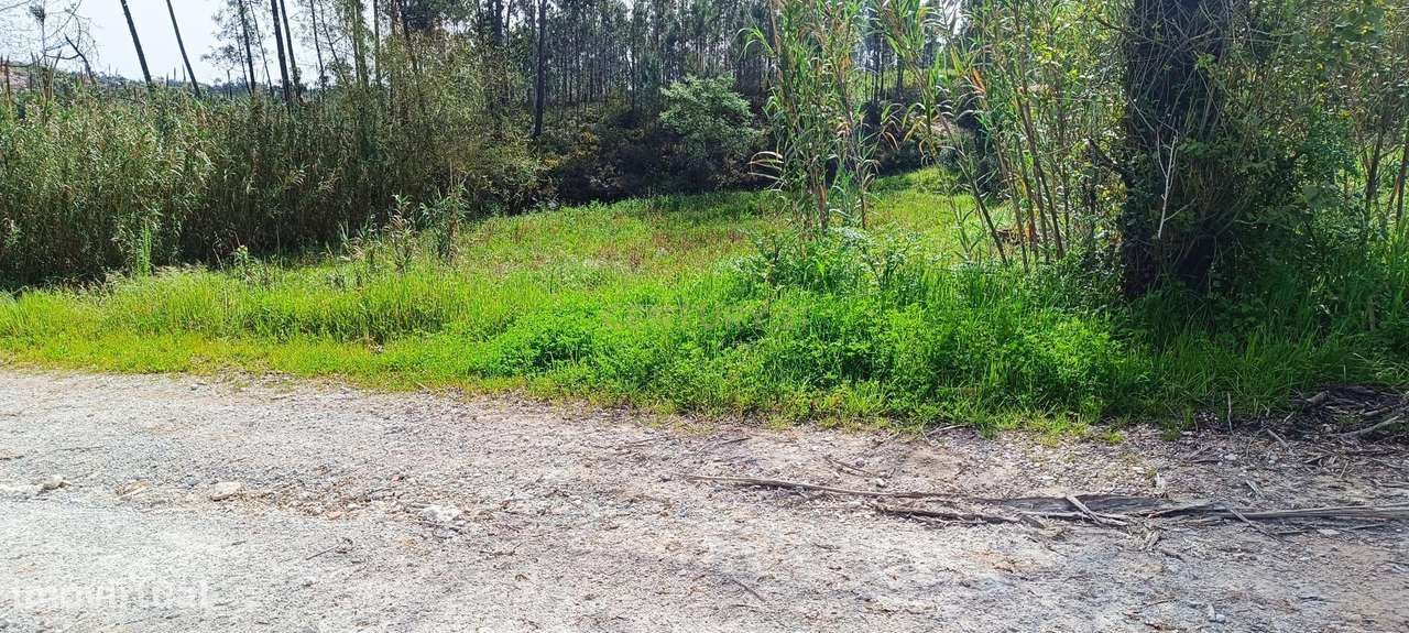 Terreno Rústico em Coimbra - Oportunidade Única por 12.990€ - Grande imagem: 2/8