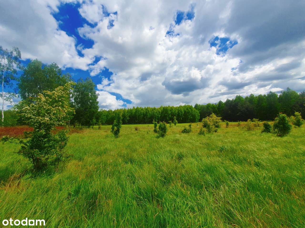 Działki budowlane pod lasem 1000m2-2