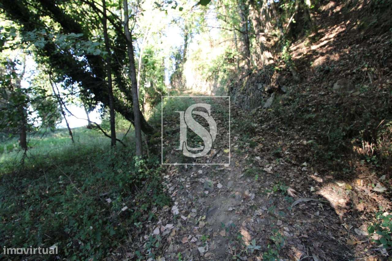 Terreno em Rebordelo - Grande imagem: 3/3