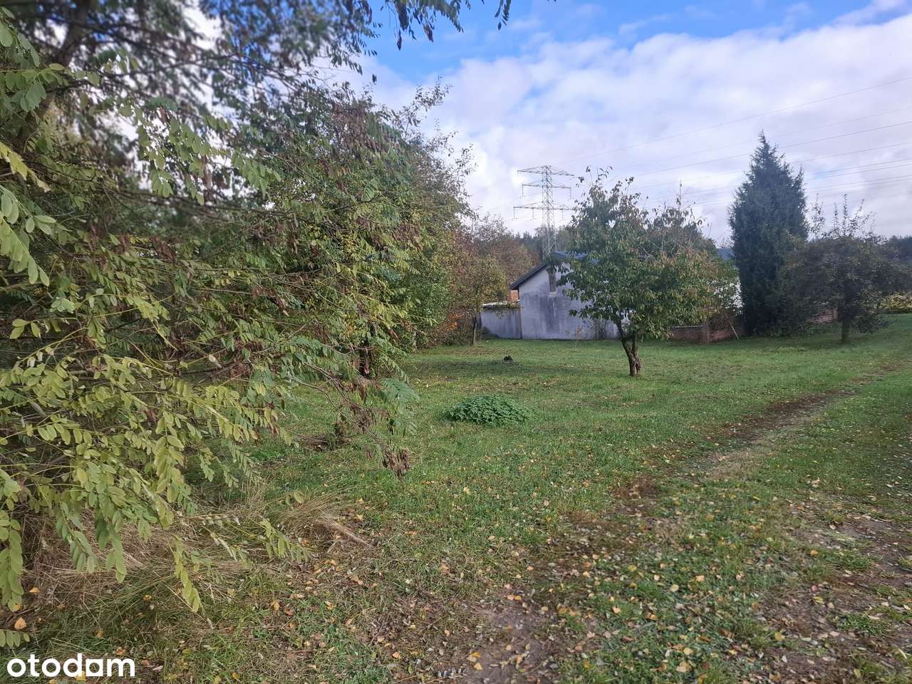 REZERWACJA - Pełny obrazek: 4/20