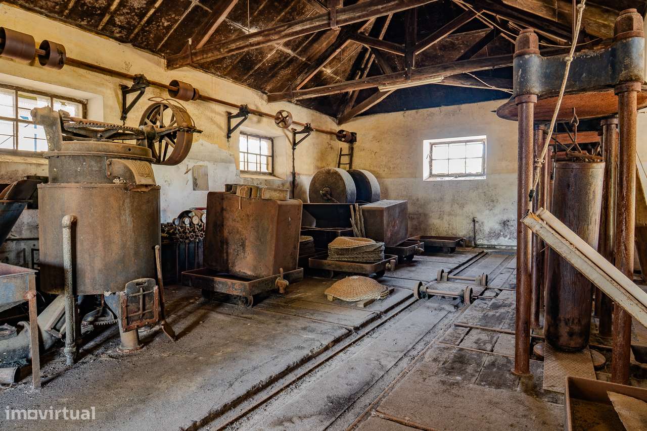 QUINTA 15 HA | VENDA | ÉVORA – ALENTEJO-15