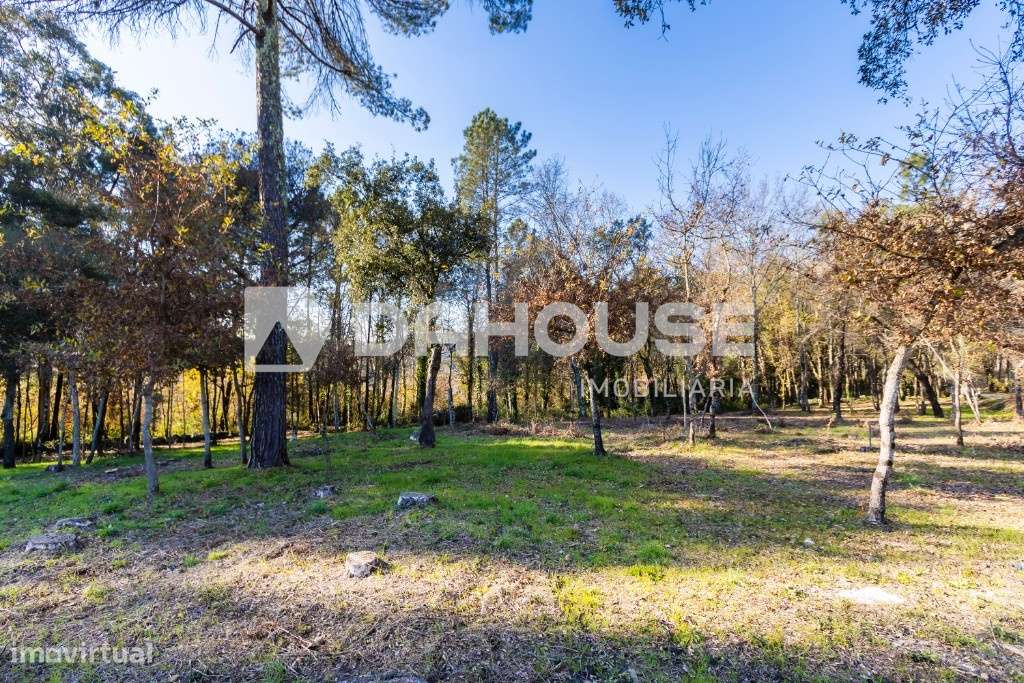 Venda Terreno - Grande imagem: 4/8