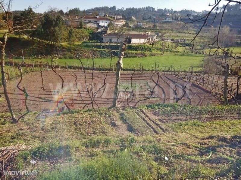 Moradia T1 / Marco de Canaveses, Constance - Grande imagem: 2/5