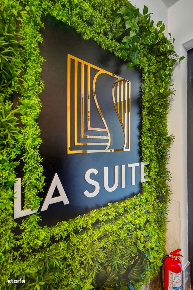 O ALEGERE INTELIGENTA INTRE BUSINESS SI RELAXARE | ZONA COPOU-12