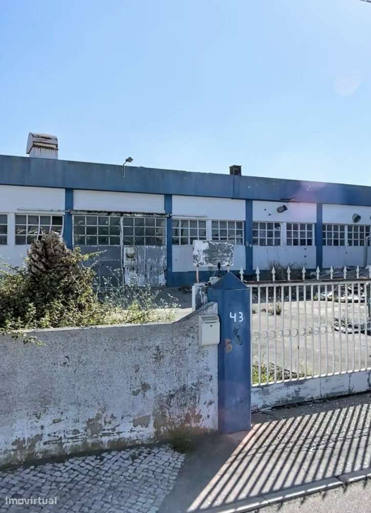 Armazém para venda.. Oportunidade de bom negócio - Grande imagem: 4/11