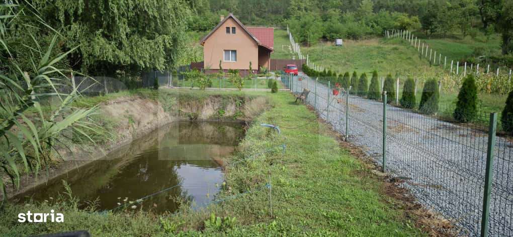Casa cu teren generos si lac de pescuit – Ceuasu de Campie - Imagine principală: 3/9