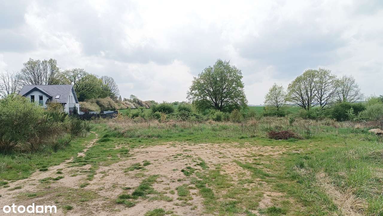 Piękna działka budowlana w super cenie! - Pełny obrazek: 2/4