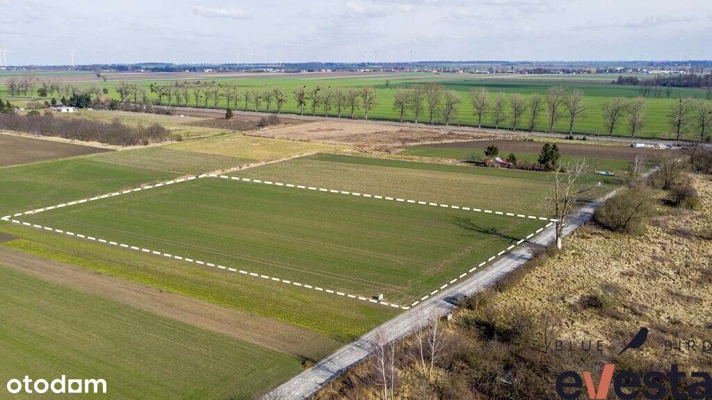 Działka usługowa/produkcyjna, 9092 m2, Bierutów - Pełny obrazek: 4/9