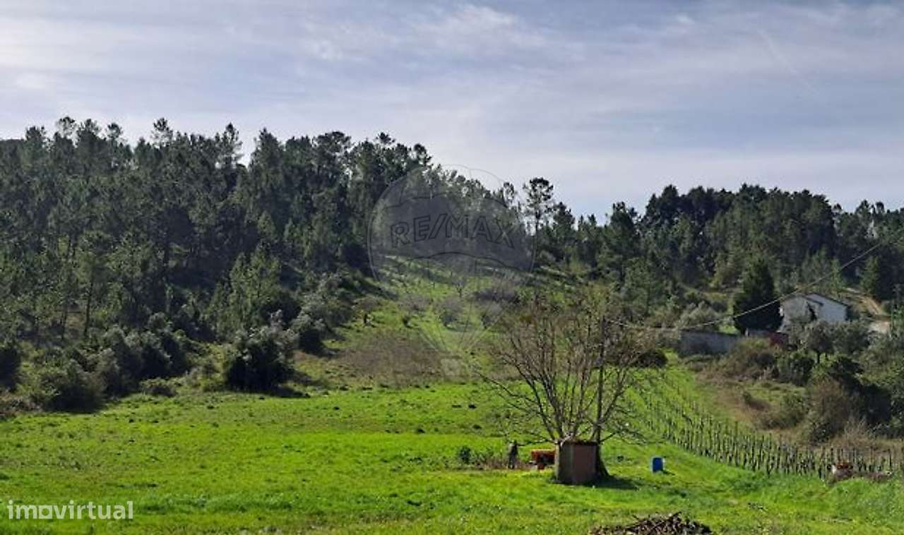 Terreno  para venda - Grande imagem: 2/5