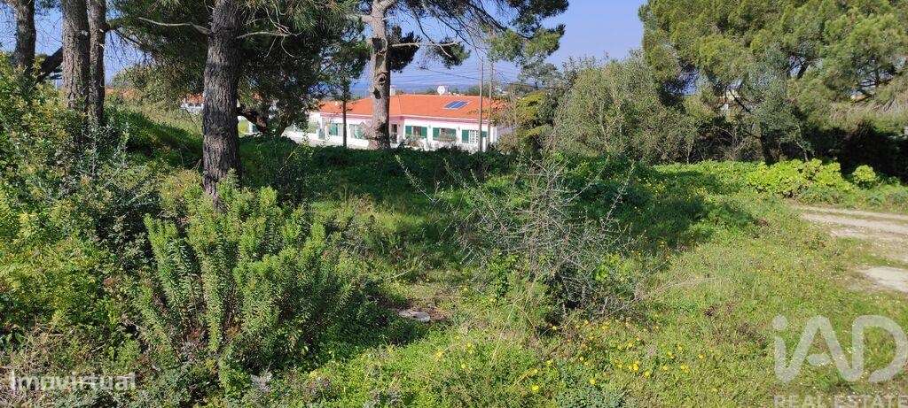 Terreno em Sesimbra (Castelo) de 2190,00 m2 - Grande imagem: 3/20