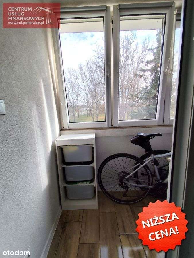 Ładne mieszkanie 2-pok. II p. 46 m2-Lubin, Pader-15