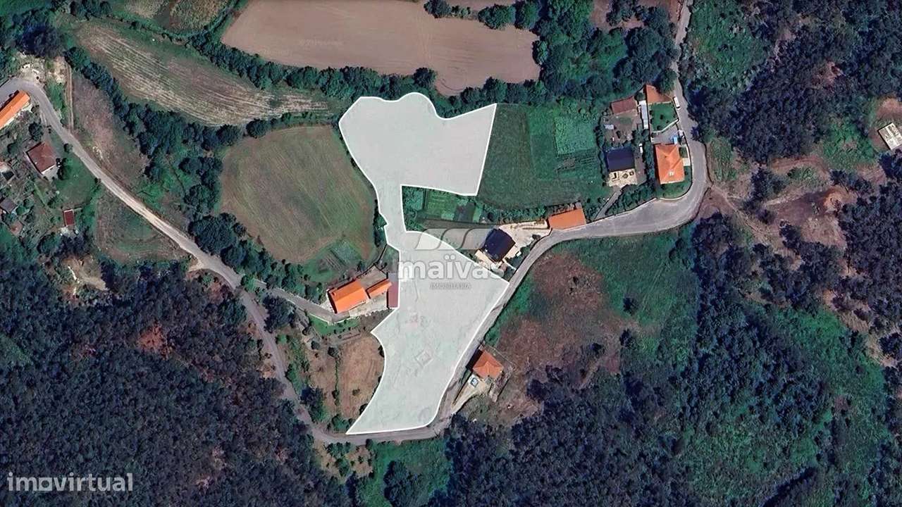 Ruína-2